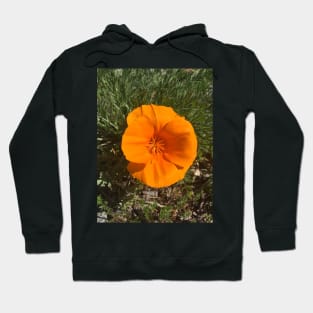 California Poppy Hoodie